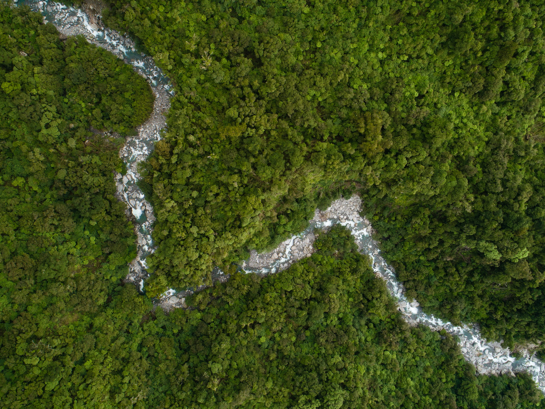 A Neil Silverwood DJI_0375 (1) (1)